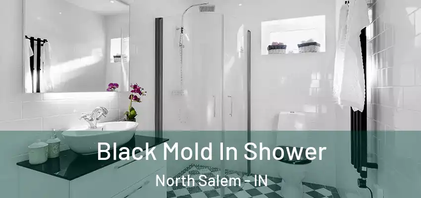  Black Mold In Shower North Salem - IN
