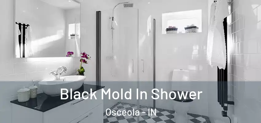  Black Mold In Shower Osceola - IN
