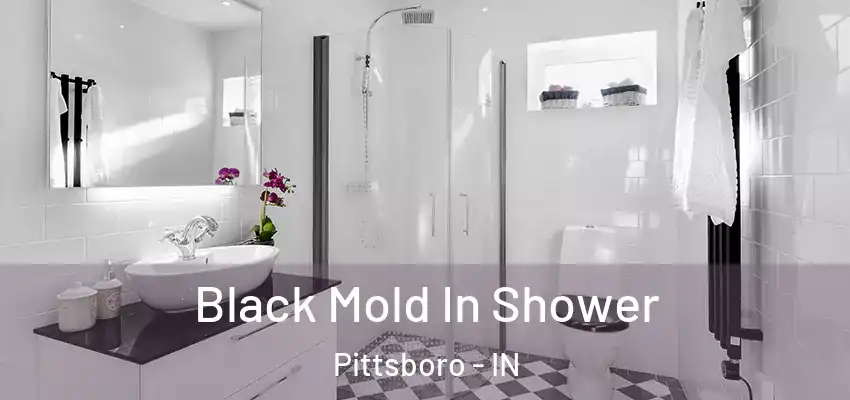  Black Mold In Shower Pittsboro - IN