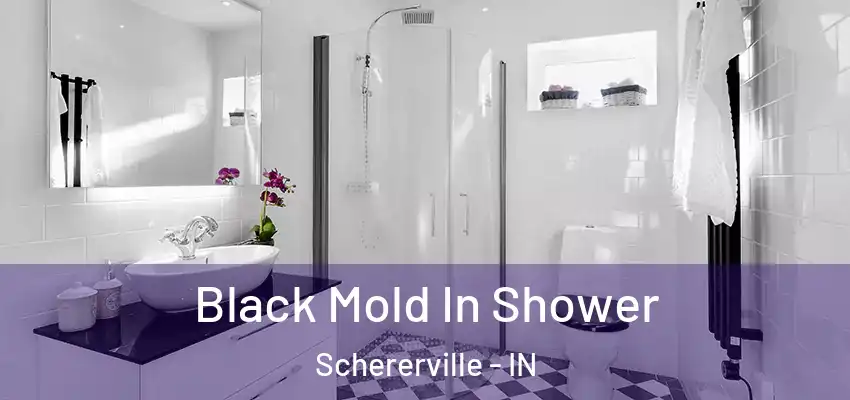  Black Mold In Shower Schererville - IN