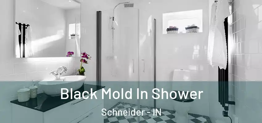  Black Mold In Shower Schneider - IN