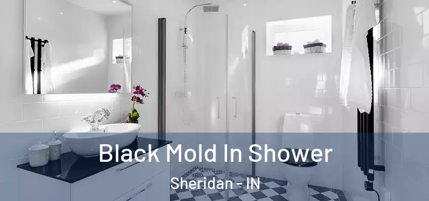 Black Mold In Shower Sheridan - IN