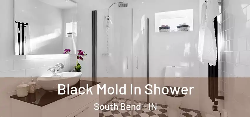  Black Mold In Shower South Bend - IN