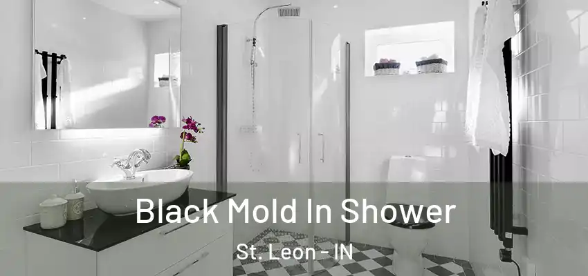  Black Mold In Shower St. Leon - IN