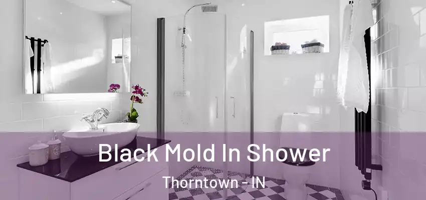 Black Mold In Shower Thorntown - IN