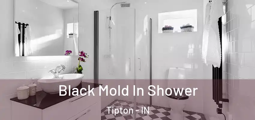  Black Mold In Shower Tipton - IN