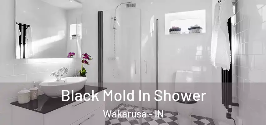  Black Mold In Shower Wakarusa - IN