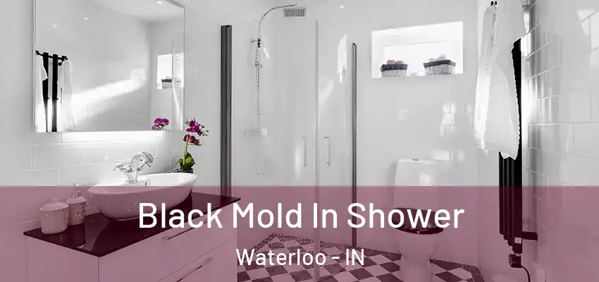 Black Mold In Shower Waterloo - IN