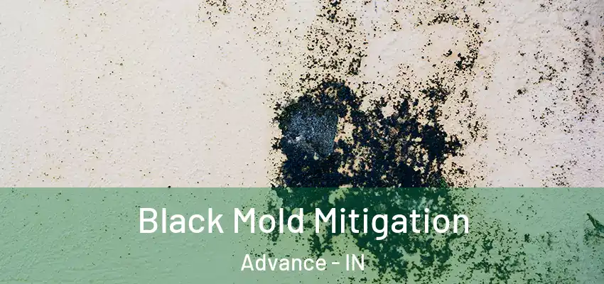 Black Mold Mitigation Advance - IN