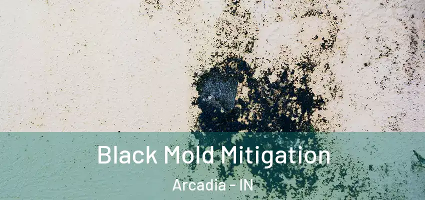  Black Mold Mitigation Arcadia - IN