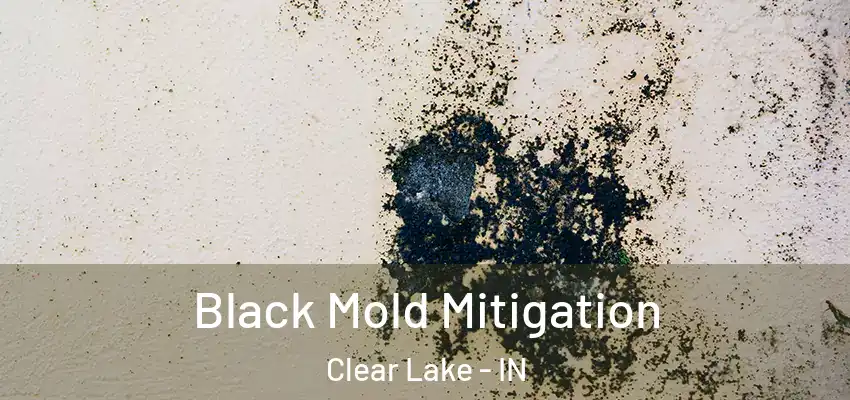  Black Mold Mitigation Clear Lake - IN