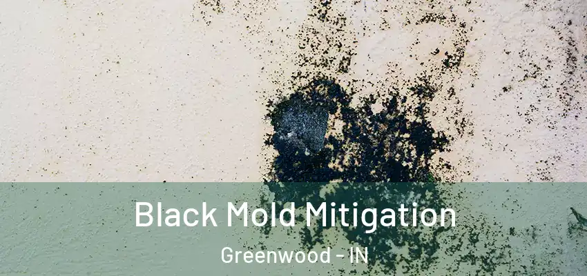 Black Mold Mitigation Greenwood - IN