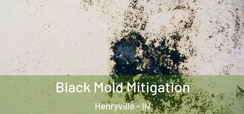  Black Mold Mitigation Henryville - IN