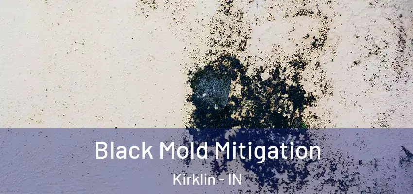Black Mold Mitigation Kirklin - IN