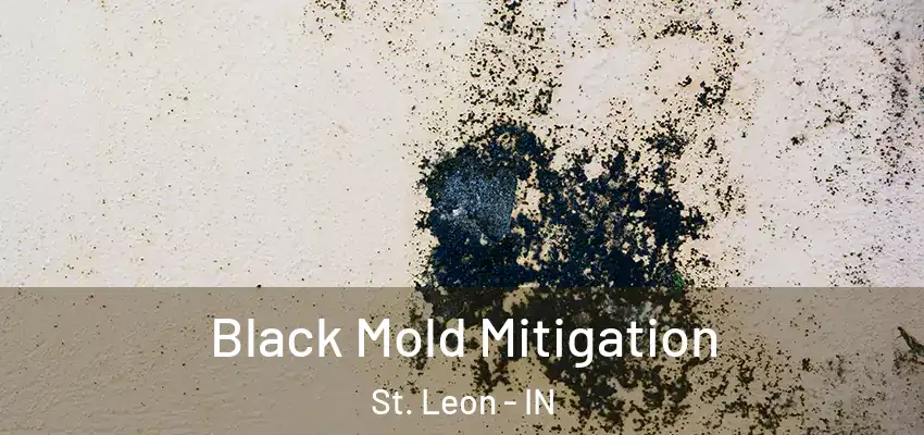  Black Mold Mitigation St. Leon - IN