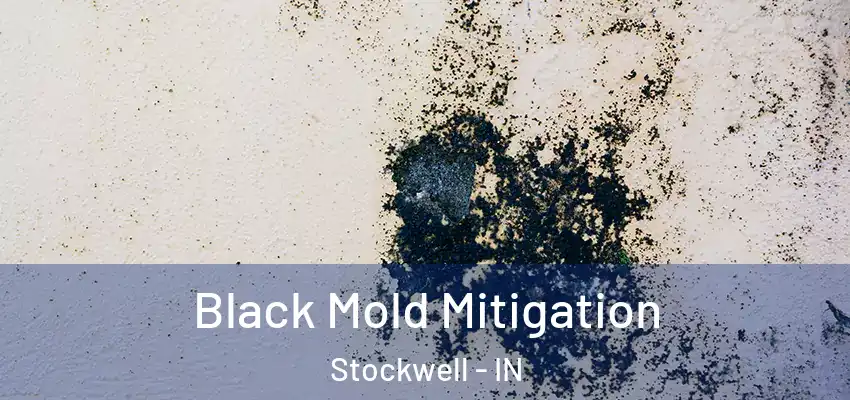  Black Mold Mitigation Stockwell - IN