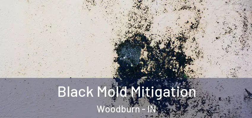  Black Mold Mitigation Woodburn - IN