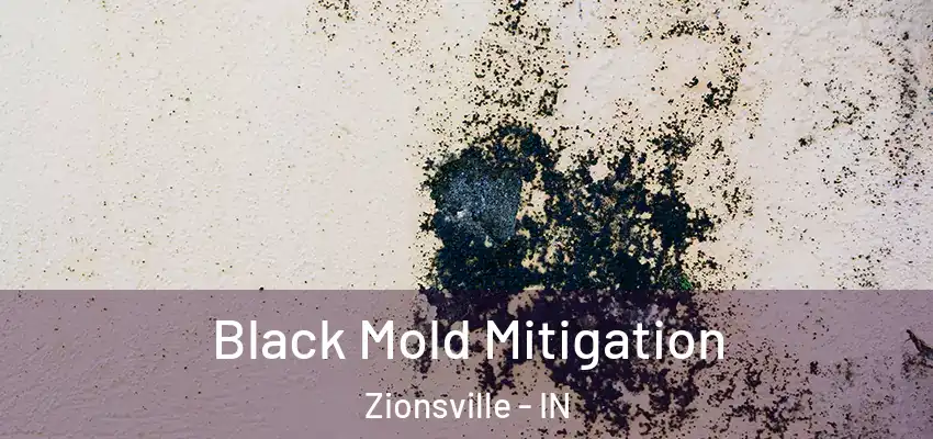 Black Mold Mitigation Zionsville - IN