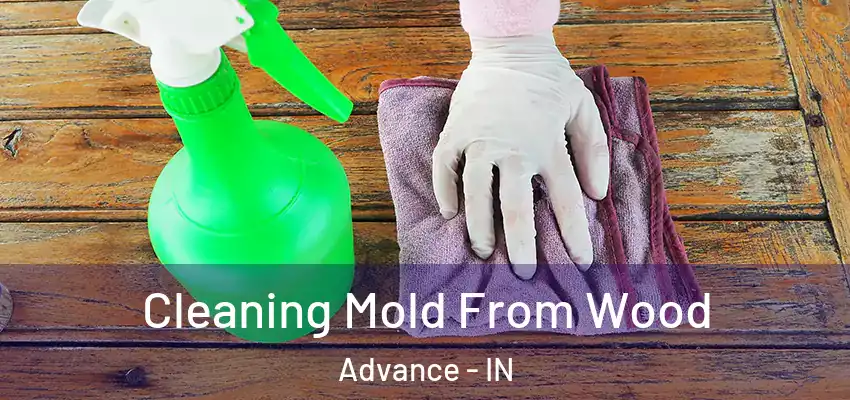 Cleaning Mold From Wood Advance - IN