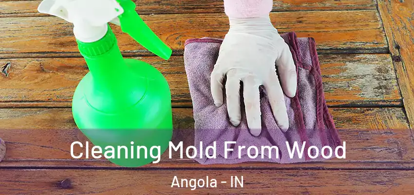  Cleaning Mold From Wood Angola - IN
