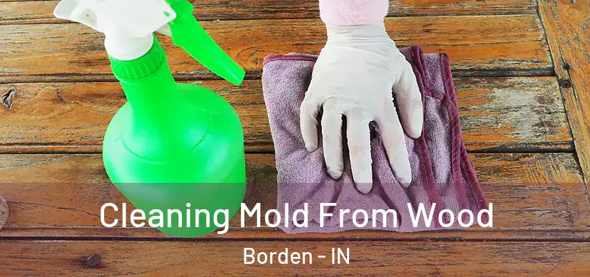Cleaning Mold From Wood Borden - IN