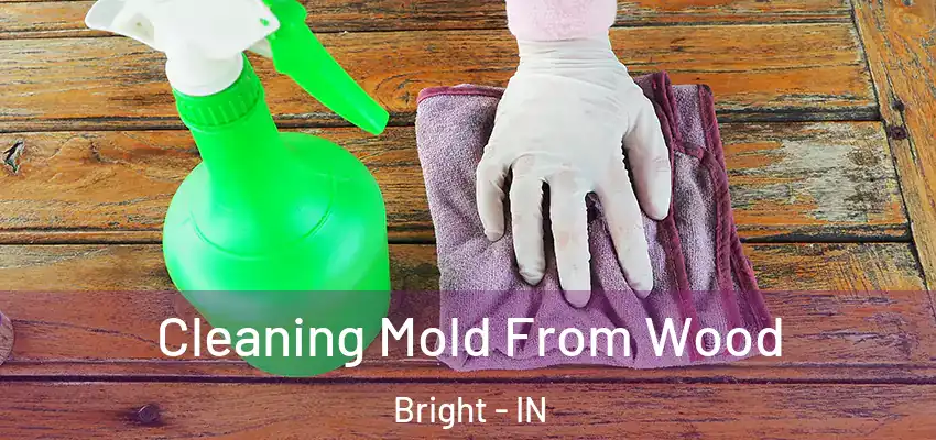 Cleaning Mold From Wood Bright - IN