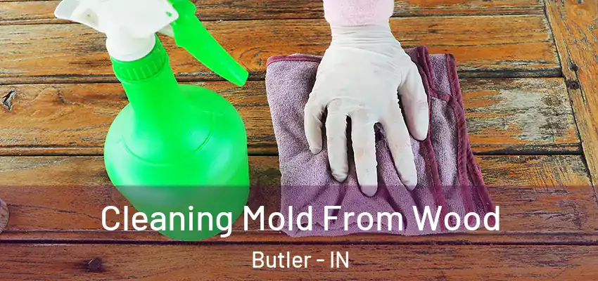 Cleaning Mold From Wood Butler - IN