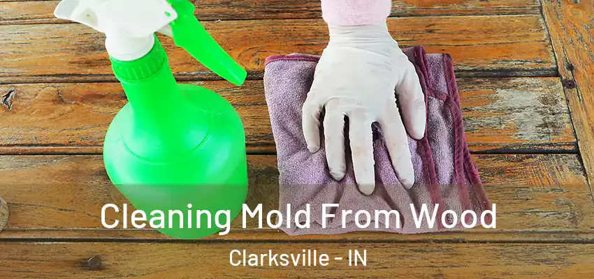  Cleaning Mold From Wood Clarksville - IN