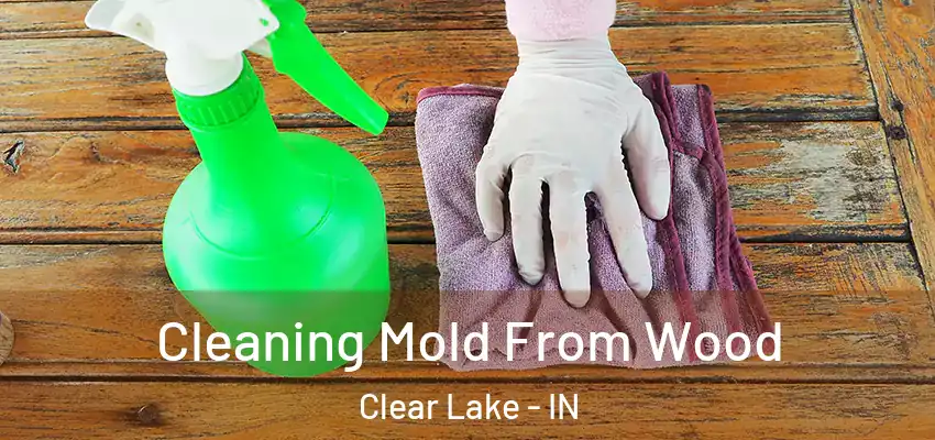  Cleaning Mold From Wood Clear Lake - IN