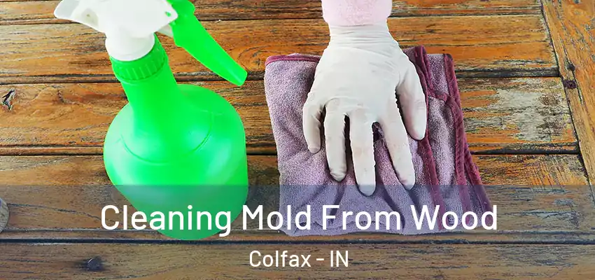 Cleaning Mold From Wood Colfax - IN