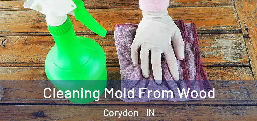 Cleaning Mold From Wood Corydon - IN