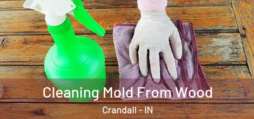 Cleaning Mold From Wood Crandall - IN