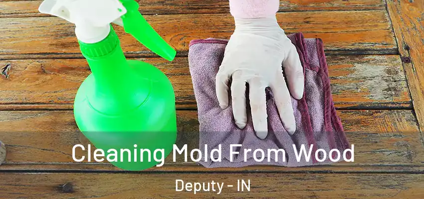  Cleaning Mold From Wood Deputy - IN