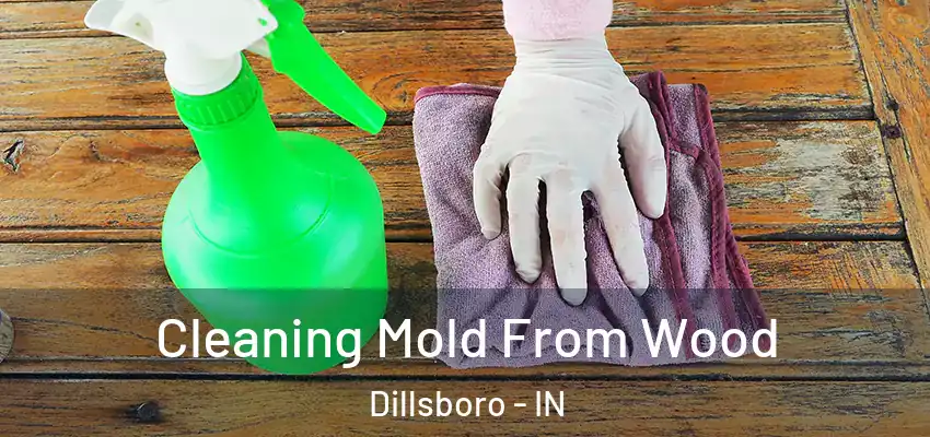  Cleaning Mold From Wood Dillsboro - IN