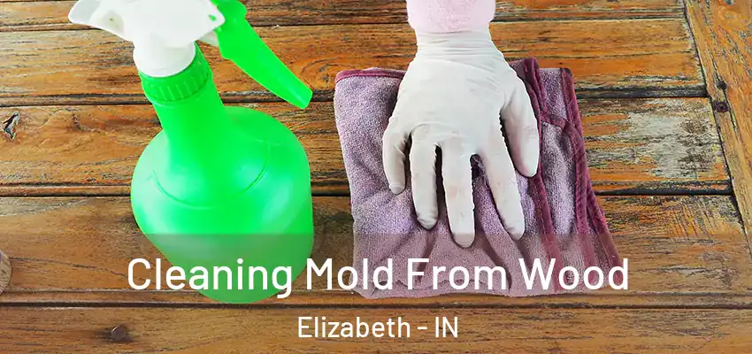  Cleaning Mold From Wood Elizabeth - IN