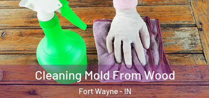 Cleaning Mold From Wood Fort Wayne - IN