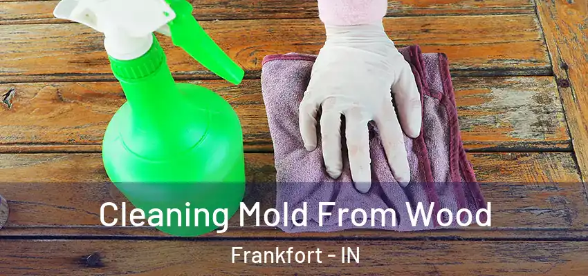  Cleaning Mold From Wood Frankfort - IN