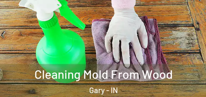 Cleaning Mold From Wood Gary - IN