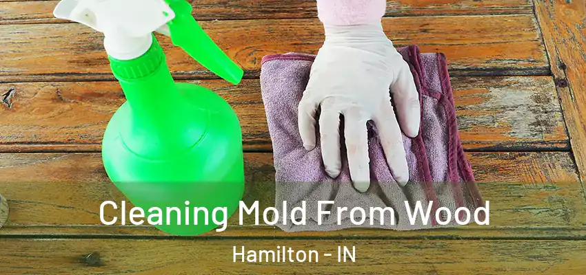 Cleaning Mold From Wood Hamilton - IN