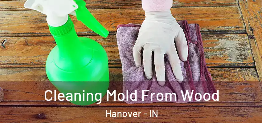  Cleaning Mold From Wood Hanover - IN