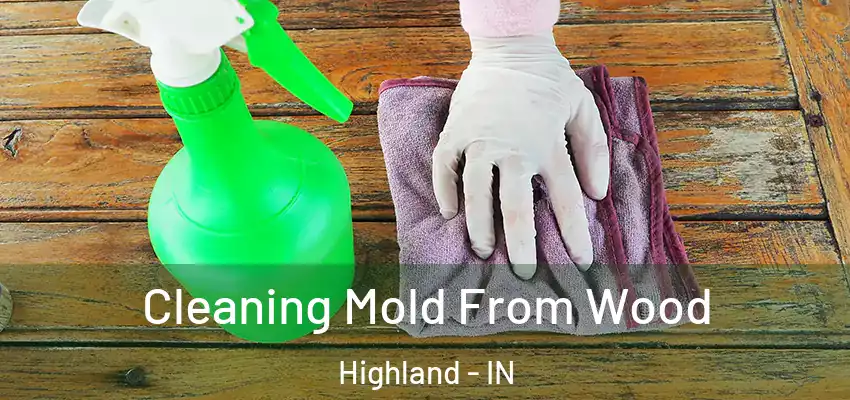  Cleaning Mold From Wood Highland - IN