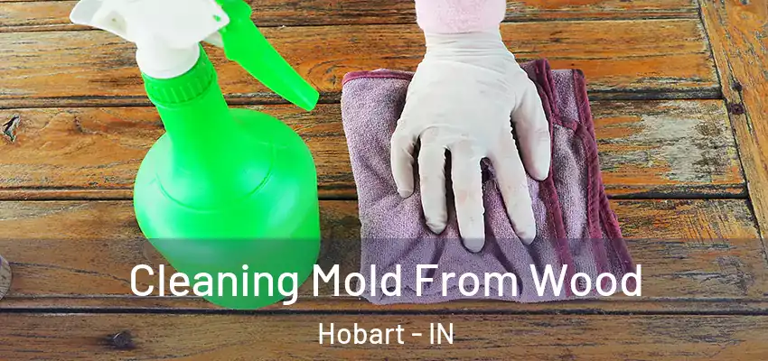  Cleaning Mold From Wood Hobart - IN
