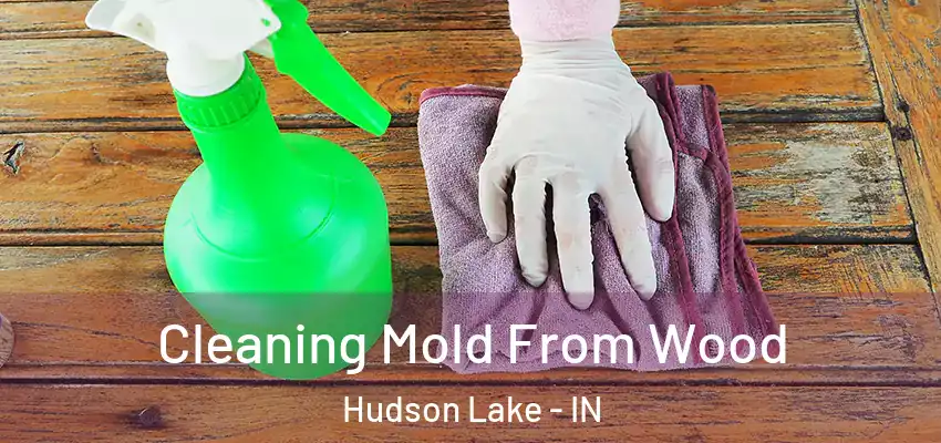  Cleaning Mold From Wood Hudson Lake - IN