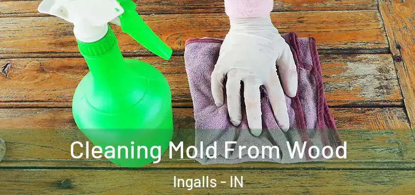  Cleaning Mold From Wood Ingalls - IN