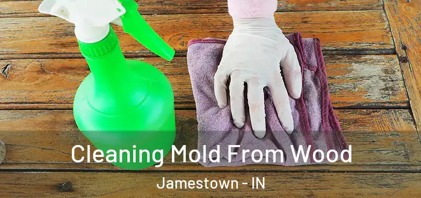 Cleaning Mold From Wood Jamestown - IN