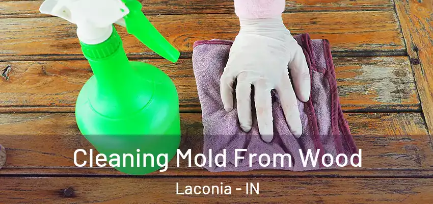  Cleaning Mold From Wood Laconia - IN