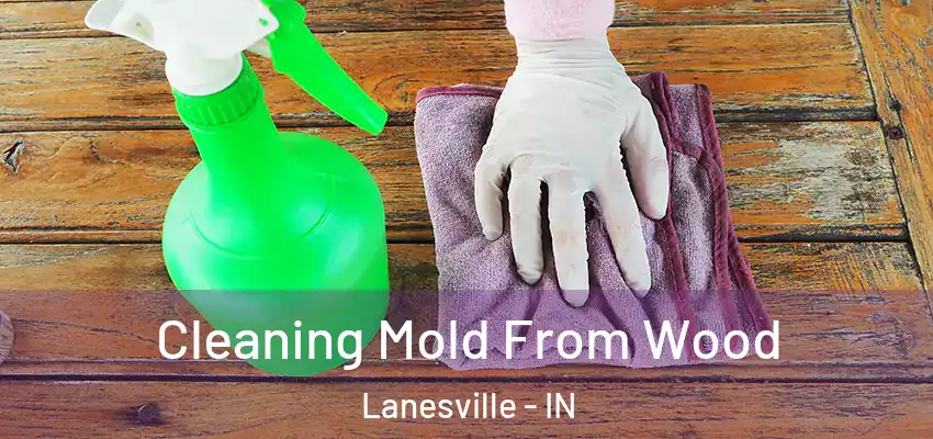  Cleaning Mold From Wood Lanesville - IN
