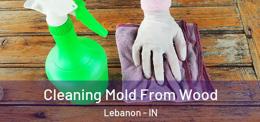  Cleaning Mold From Wood Lebanon - IN