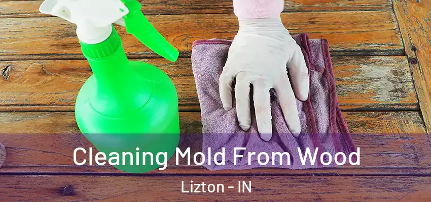  Cleaning Mold From Wood Lizton - IN