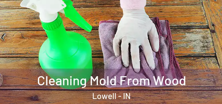 Cleaning Mold From Wood Lowell - IN